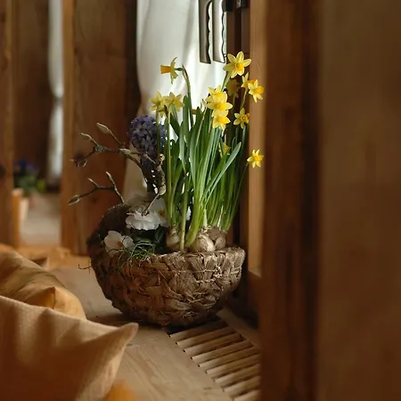 Landgasthof Und Seminarhotel Lueg Отель