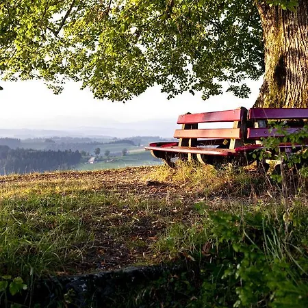 Landgasthof Und Seminarhotel Lueg