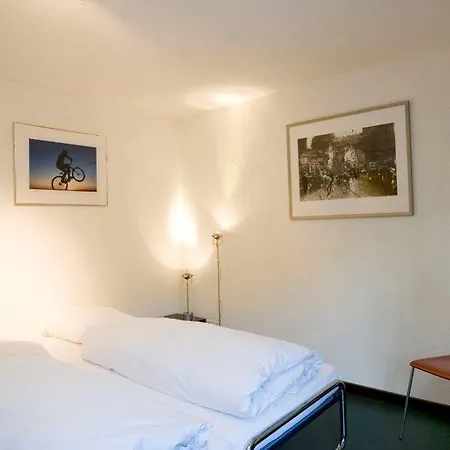 Отель Landgasthof Und Seminarhotel Lueg 3*