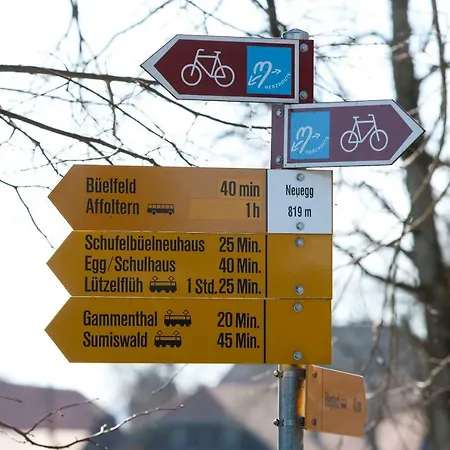 Landgasthof Und Seminarhotel Lueg Hotel 3*