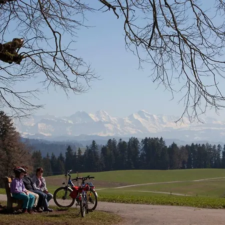 Отель Landgasthof Und Seminarhotel Lueg
