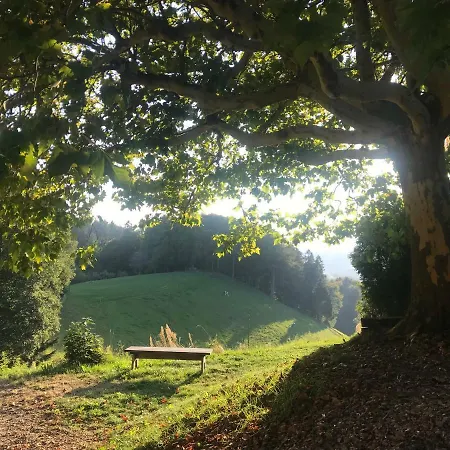 Landgasthof Und Seminarhotel Lueg Отель