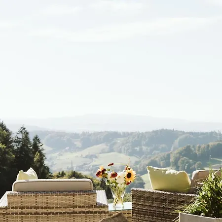 Landgasthof Und Seminarhotel Lueg Отель 3*