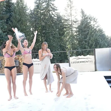 Hotel Landgasthof Und Seminarhotel Lueg 3*