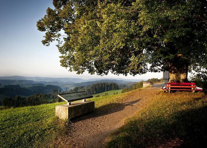 Landgasthof Und Seminarhotel Lueg Kaltacker