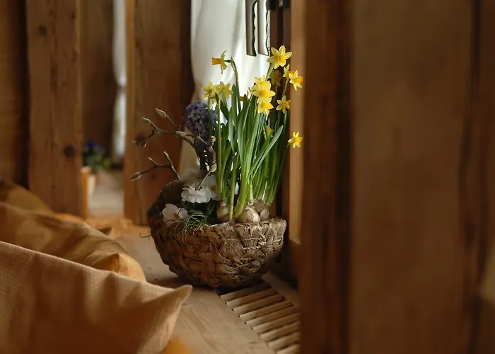 Landgasthof Und Seminarhotel Lueg Hotel