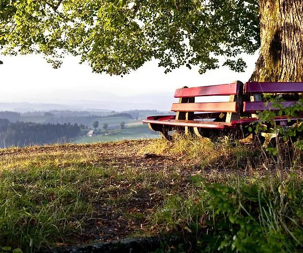 Landgasthof Und Seminarhotel Lueg