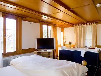 Landgasthof Und Seminarhotel Lueg 酒店 3*