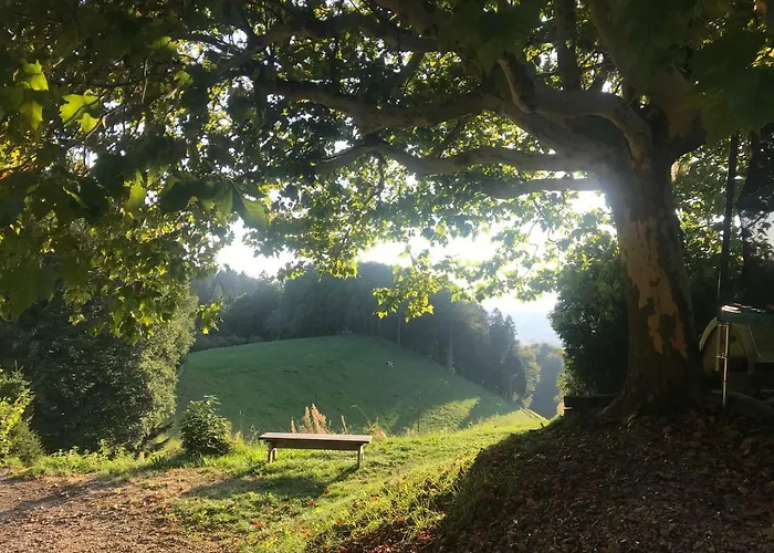 Landgasthof Und Seminarhotel Lueg Hotel