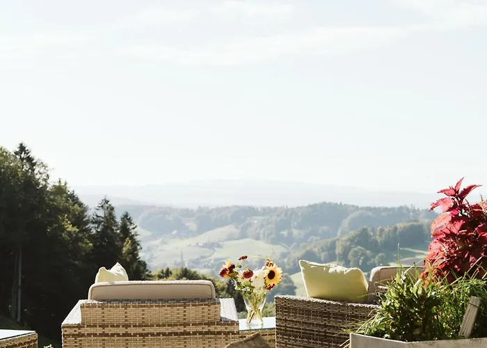 Landgasthof Und Seminarhotel Lueg 酒店 3*
