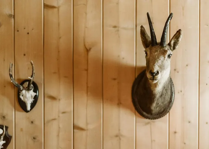 Landgasthof Und Seminarhotel Lueg Kaltacker