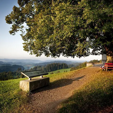Landgasthof Und Seminarhotel Lueg Sumiswald