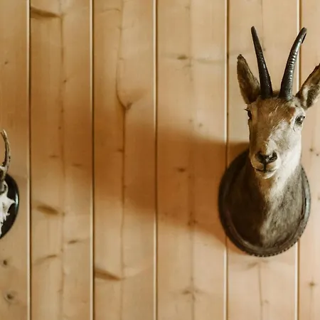 Landgasthof Und Seminarhotel Lueg Kaltacker